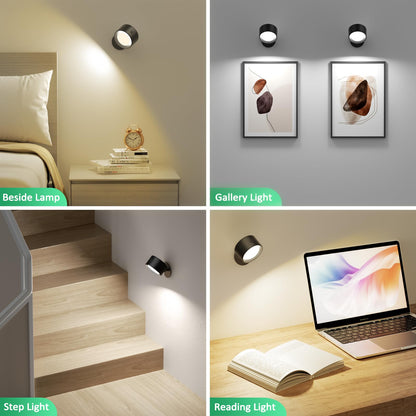 Wall Mounted Lamp
